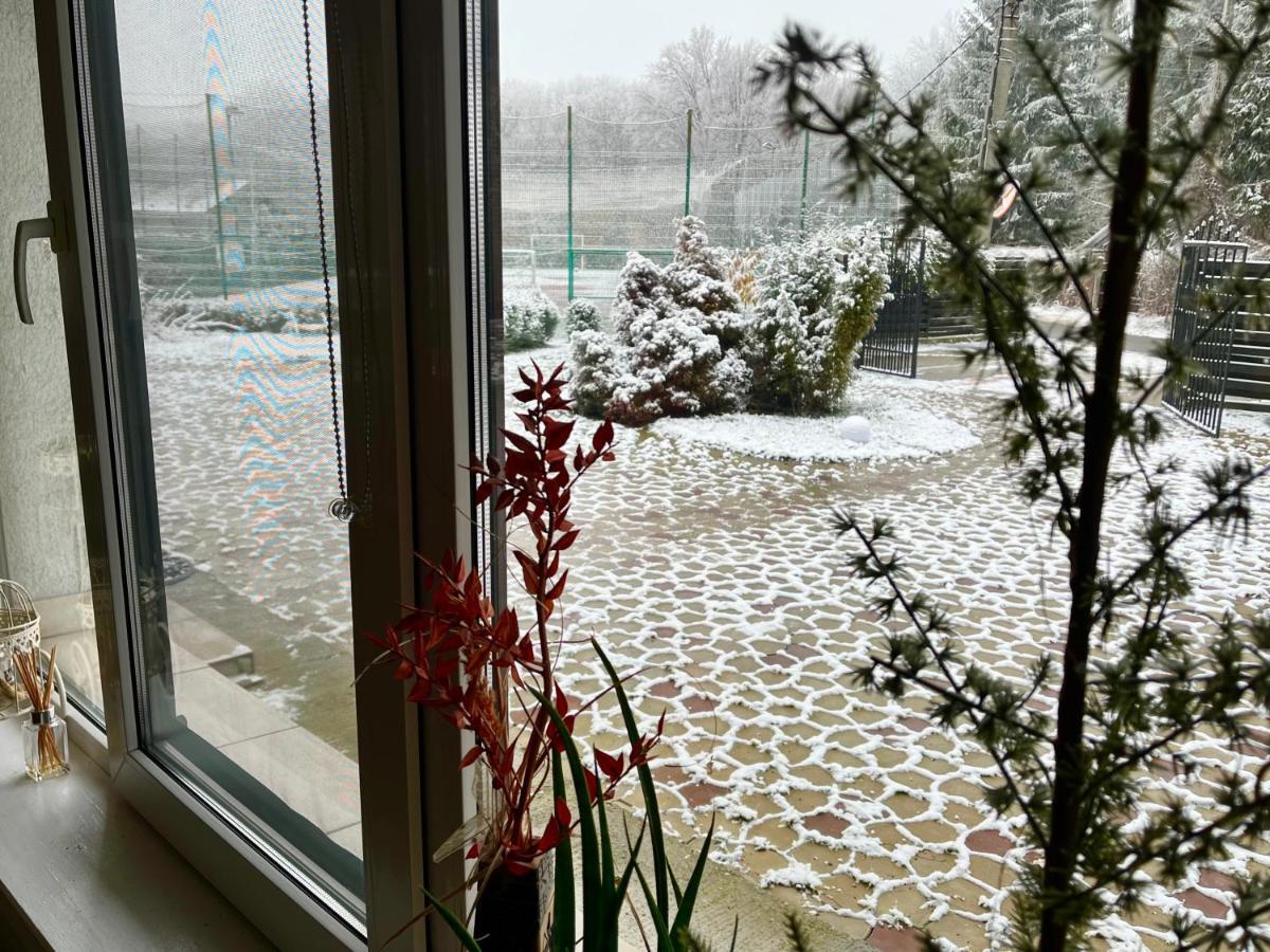 Pensiunea Mirage Tomesti  Dış mekan fotoğraf